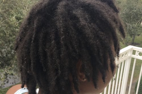 How To Start Locs With Finger Coils Faith N Turtles