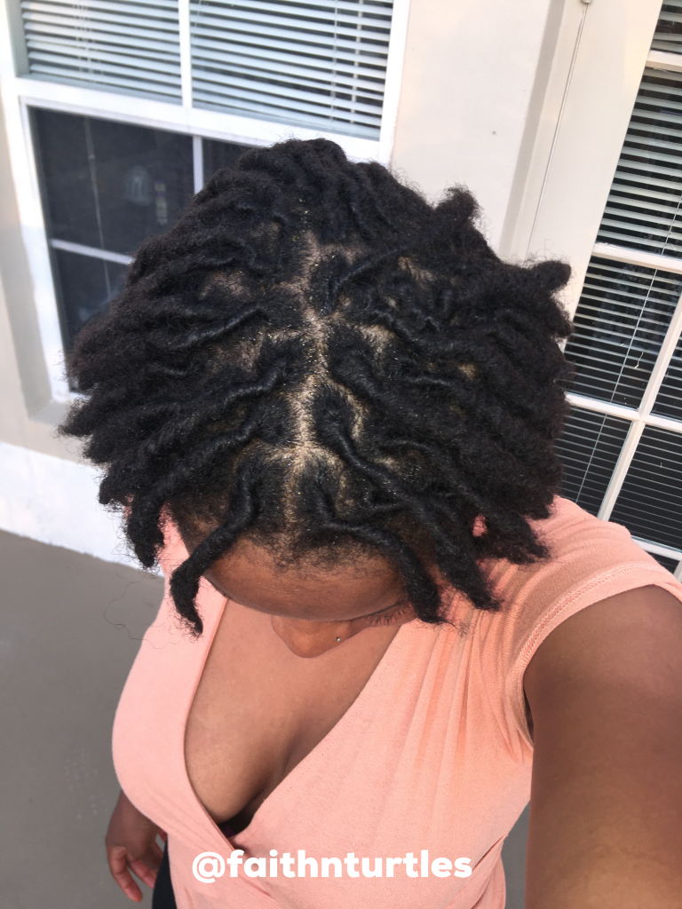 pictures of freshly retwisted locs in a loc update