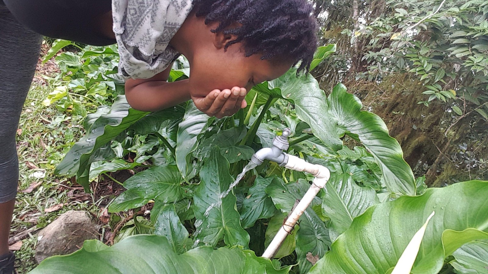 How to Nurture Your New Baby Locs - Dr Locs